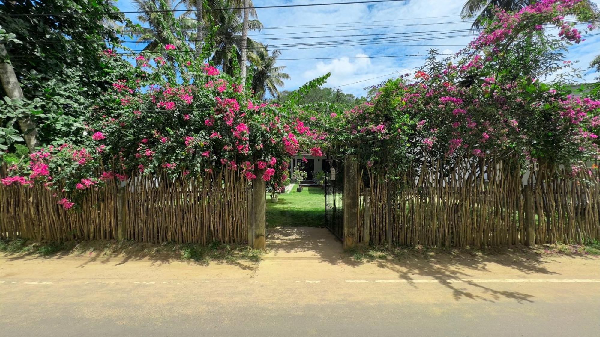 Villa Hiriketiya Dikwella Bagian luar foto